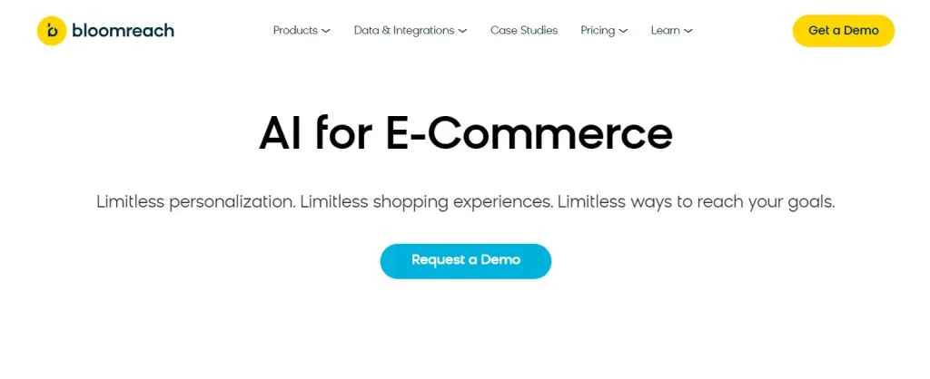 Bloomreach: Best AI Tools For Ecommerce
