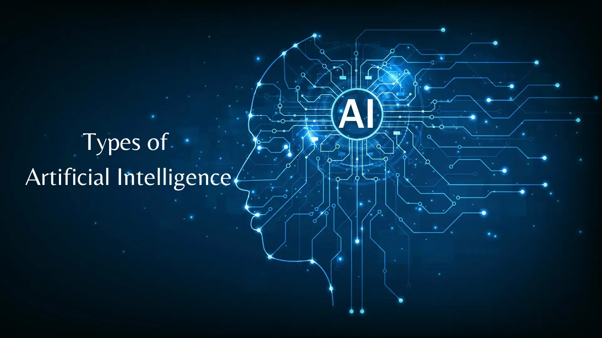 7 Basic Types of AI You Must Know in 2024