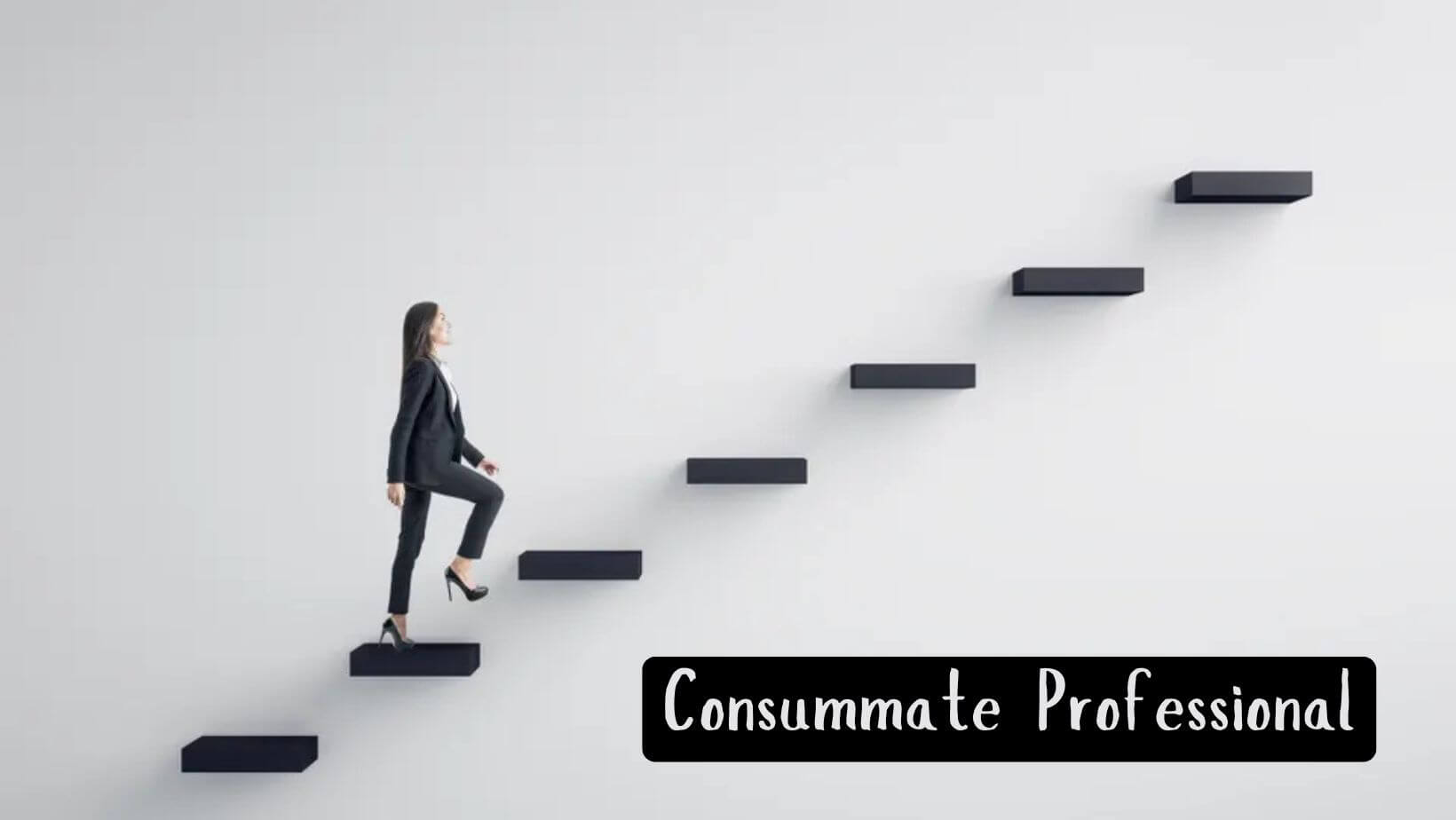 Consummate Professional – Meaning & Level Of Commitment